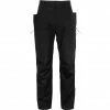Icebreaker Shell+ Pants Men black