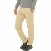 Jack Wolfskin Desert Valley Pants Men sand dune