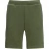 Jack Wolfskin Essential Sweat Shorts Men greenwood -Casual Pants and Jeans Shop jack wolfskin essential sweat shorts men greenwood 1